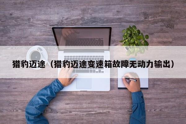 猎豹迈途（猎豹迈途变速箱故障无动力输出）