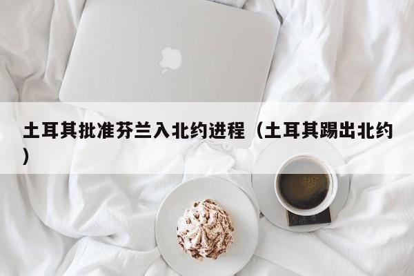 土耳其批准芬兰入北约进程（土耳其踢出北约）