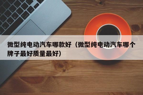 微型纯电动汽车哪款好（微型纯电动汽车哪个牌子最好质量最好）