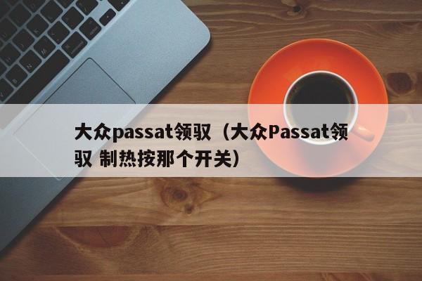 大众passat领驭（大众Passat领驭 制热按那个开关）