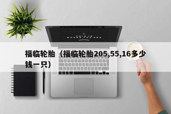 福临轮胎（福临轮胎205,55,16多少钱一只）