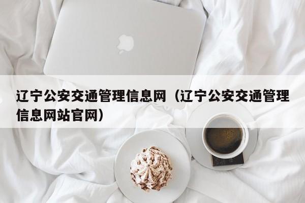 辽宁公安交通管理信息网（辽宁公安交通管理信息网站官网）