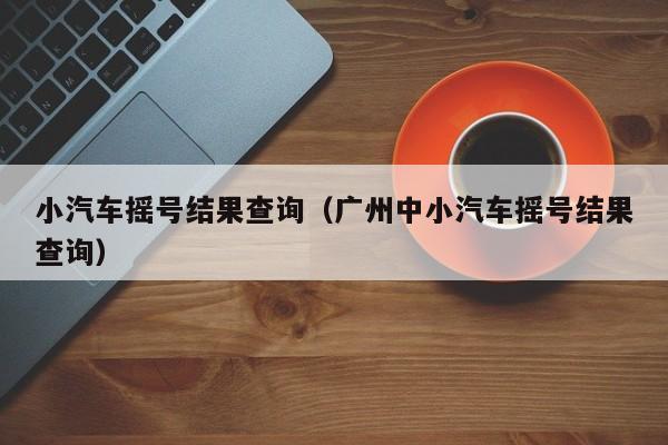 小汽车摇号结果查询（广州中小汽车摇号结果查询）