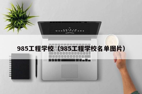985工程学校（985工程学校名单图片）