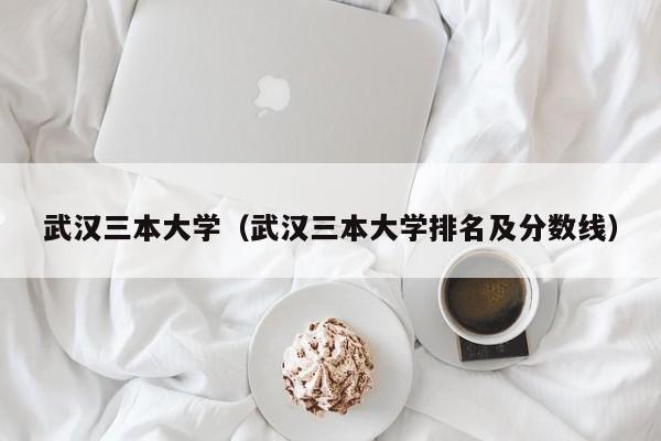武汉三本大学（武汉三本大学排名及分数线）