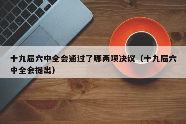 十九届六中全会通过了哪两项决议（十九届六中全会提出）
