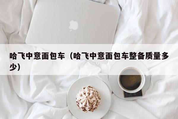 哈飞中意面包车（哈飞中意面包车整备质量多少）