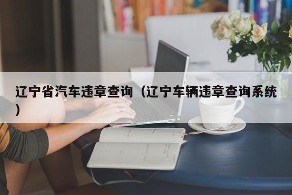 辽宁省汽车违章查询（辽宁车辆违章查询系统）