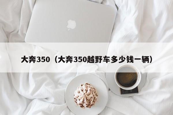 大奔350（大奔350越野车多少钱一辆）