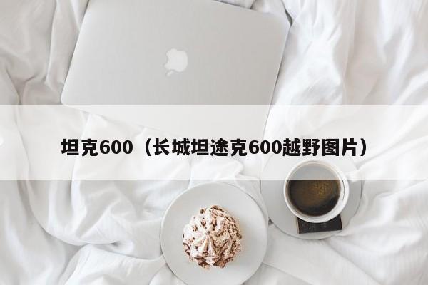 坦克600（长城坦途克600越野图片）