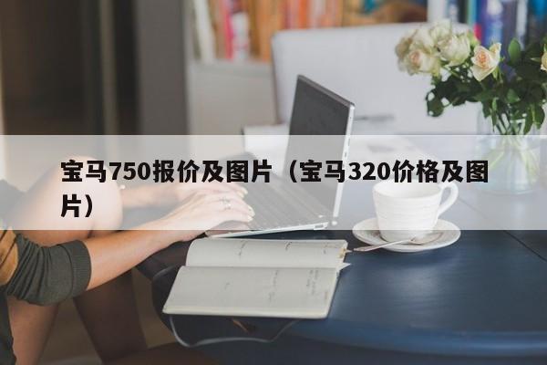 宝马750报价及图片（宝马320价格及图片）