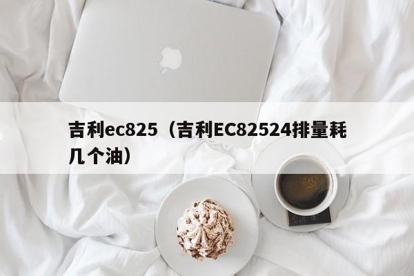 吉利ec825（吉利EC82524排量耗几个油）