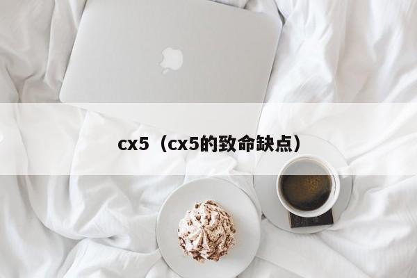 cx5（cx5的致命缺点）
