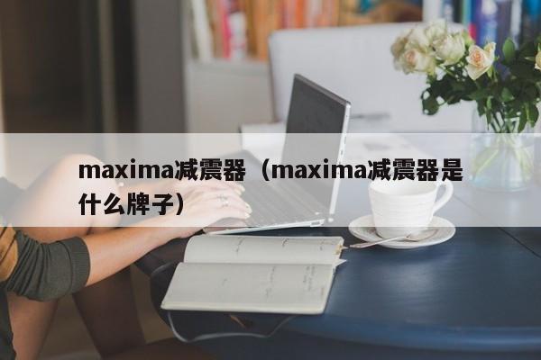 maxima减震器（maxima减震器是什么牌子）