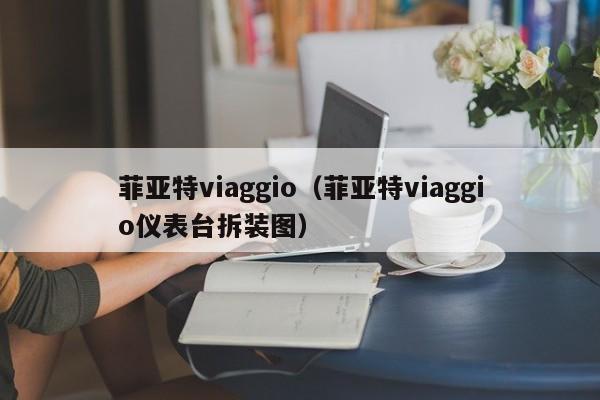 菲亚特viaggio（菲亚特viaggio仪表台拆装图）