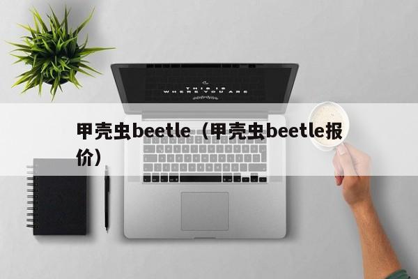 甲壳虫beetle（甲壳虫beetle报价）