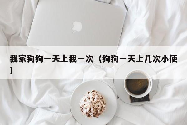 我家狗狗一天上我一次（狗狗一天上几次小便）