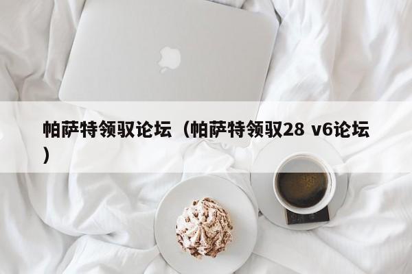 帕萨特领驭论坛（帕萨特领驭28 v6论坛）