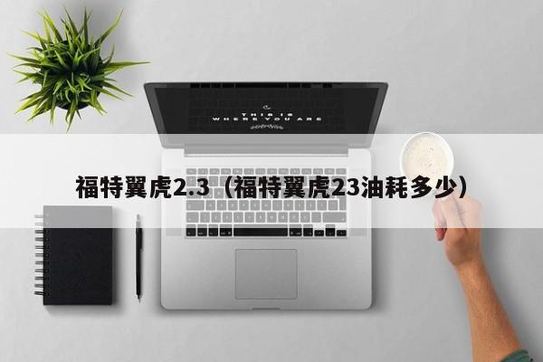福特翼虎2.3（福特翼虎23油耗多少）