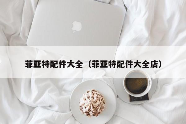 菲亚特配件大全（菲亚特配件大全店）