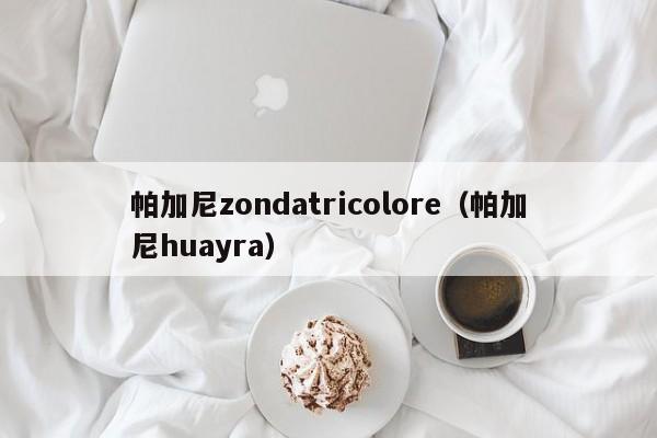 帕加尼zondatricolore（帕加尼huayra）