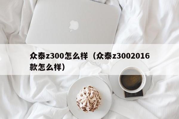 众泰z300怎么样（众泰z3002016款怎么样）