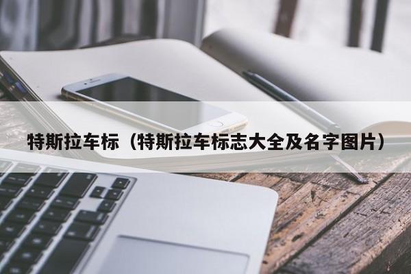 特斯拉车标（特斯拉车标志大全及名字图片）