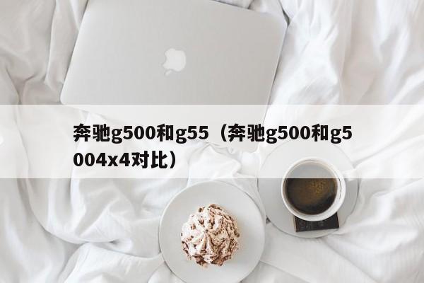 奔驰g500和g55（奔驰g500和g5004x4对比）
